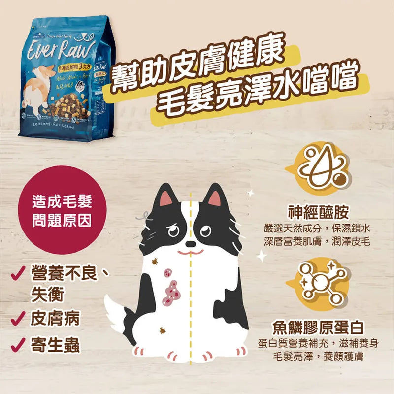 Blue Bay倍力 Ever Raw 鬼頭刀牧牛凍乾鮮糧3次方全犬糧(護膚保健配方) 1.36kg / 2.7kg