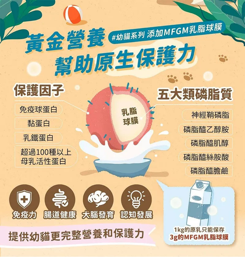 BlueBay海島貓罐Chill Island 白蝦干貝(成貓) 慕斯機能主食貓罐頭 80g