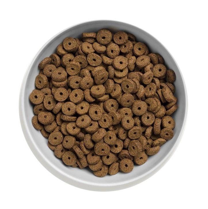 Canagan (原之選) 天然無穀物狗乾糧 - 走地雞配方 (減肥 / 老犬用) 2kg / 6kg / 12kg