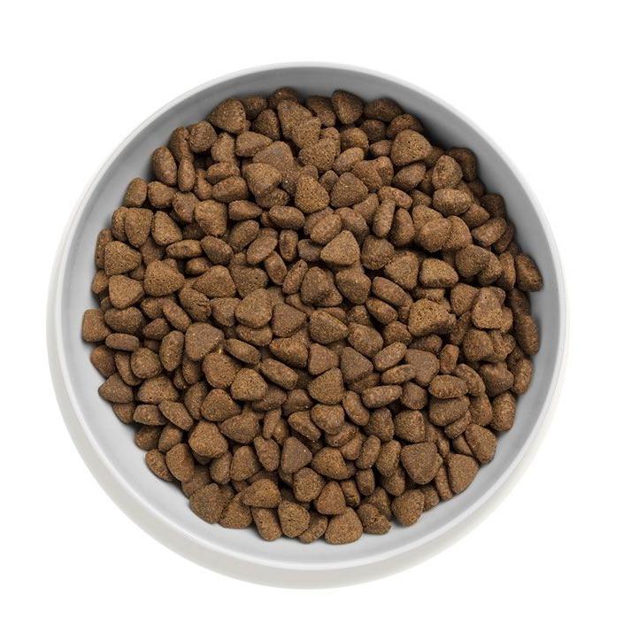 Canagan (原之選) 天然無穀物貓乾糧 - 走地雞配方 (減肥 / 老猫用) 1.5kg / 4kg