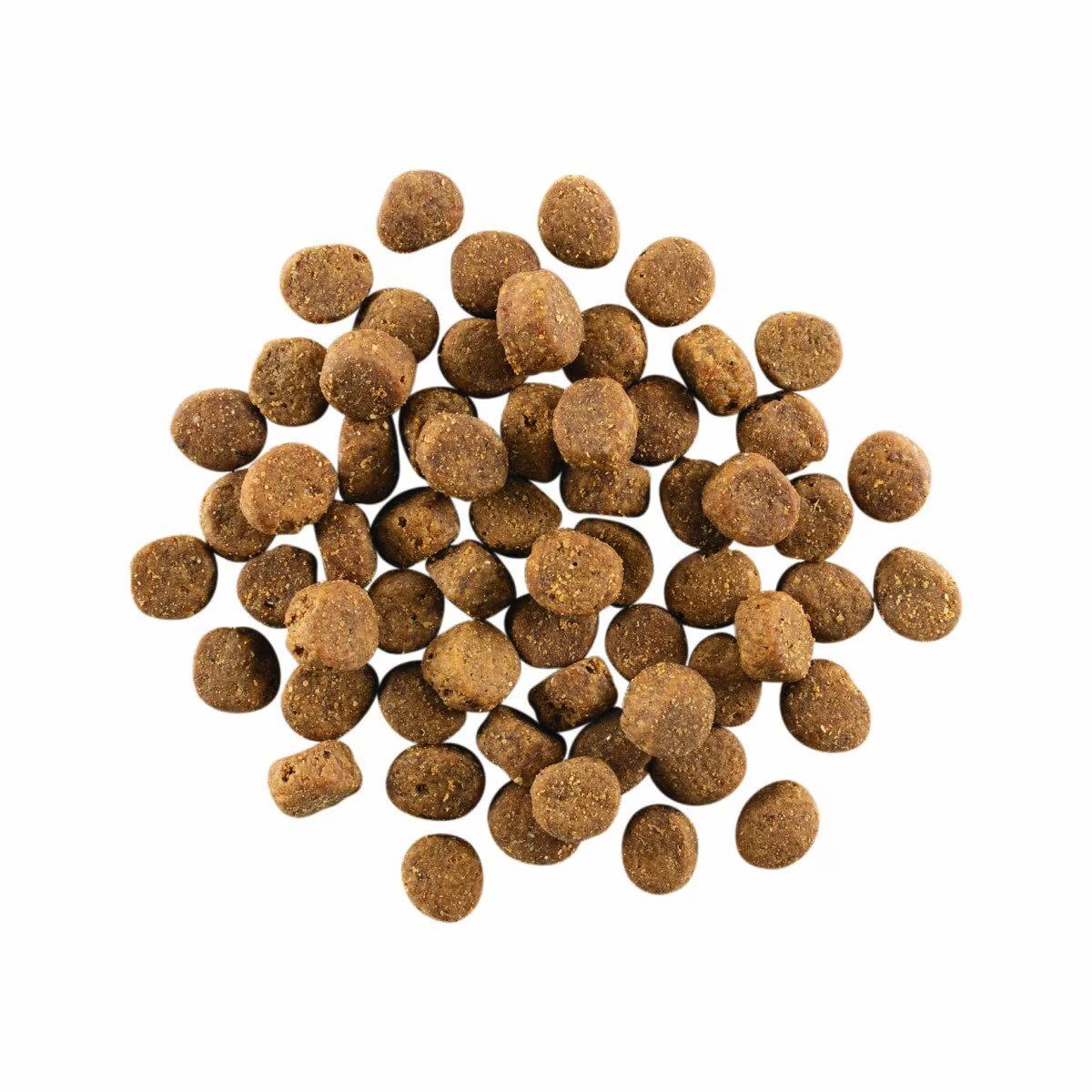 Go! SOLUTIONS 狗乾糧 - 活力營養系列 - 無穀物三文魚+鱈魚配方 全犬糧